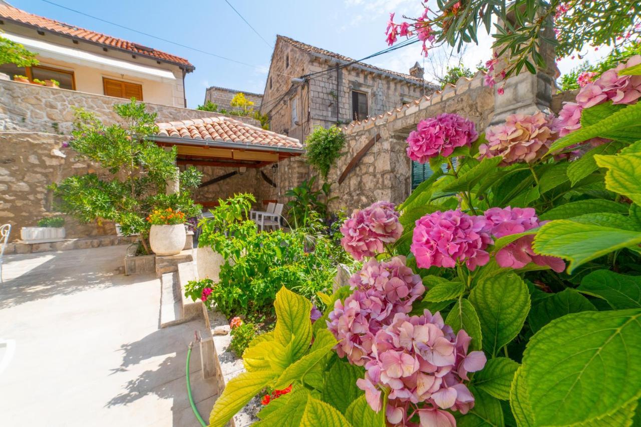 Apartman Andelina Old Town Cavtat Exteriör bild